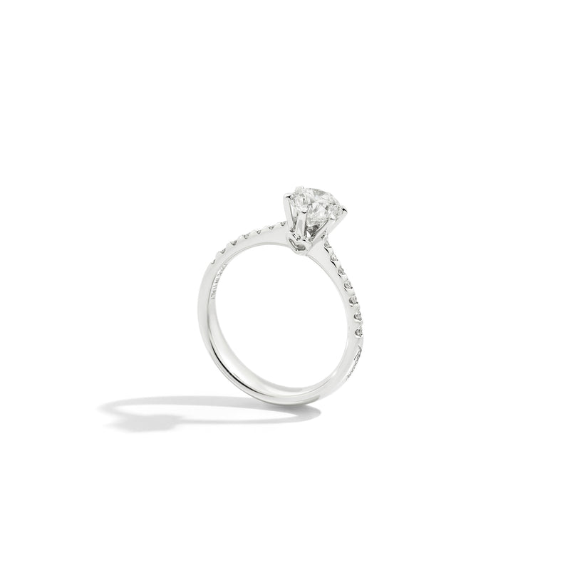 ANNIVERSARY Six-prong solitaire ring with diamond band, 18 kt white gold and diamonds